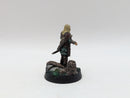 Warhammer Lord of the Rings: Rohan Aldor and Haleth - Well Painted (AA085)