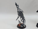 Warhammer Age of Sigmar: Nighthaunt Reikenor the Grimhailer and Guardian of Souls (BF069)