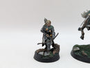 Warhammer Lord of the Rings: Rohan Hama, Prince of Rohan - Pro Painted (BH094)
