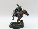 Warhammer Lord of the Rings: Rohan Hama, Prince of Rohan - Pro Painted (BH094)