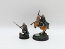 Warhammer Lord of the Rings: Rohan Haleth, Prince of Rohan - Pro Painted (BH095)