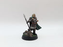 Warhammer Lord of the Rings: Rohan Haleth, Prince of Rohan - Pro Painted (BH095)