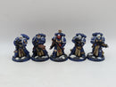 Warhammer 40k: Space Marine Sternguard Veterans - Well Painted (AJ114)