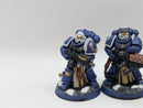 Warhammer 40k: Space Marine Sternguard Veterans - Well Painted (AJ114)