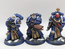 Warhammer 40k: Space Marine Sternguard Veterans - Well Painted (AJ114)