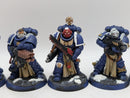 Warhammer 40k: Space Marine Sternguard Veterans - Well Painted (AJ114)