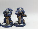 Warhammer 40k: Space Marine Sternguard Veterans - Well Painted (AJ114)