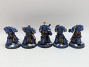 Warhammer 40k: Space Marine Sternguard Veterans - Well Painted (AJ114)