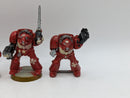 Warhammer 40k: Space Marine Terminators (AM012)