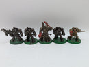 Warhammer 40k: Space Marine Terminators (AQ008)