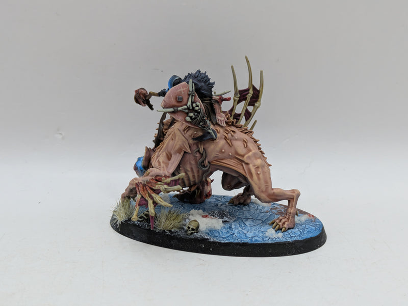 Warhammer Age of Sigmar: Flesh Eater Courts Morbheg Knights - Well