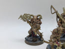 Warhammer Age of Sigmar: Slaves to Darkness Untamed Beatsts (AT097)