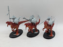 Warhammer Age of Sigmar: Seraphon Aggradon Lancers (BH004)
