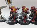 Warhammer 40k: Adepta Sororitas Battle Sisters Squad (AW088)