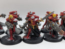 Warhammer 40k: Adepta Sororitas Battle Sisters Squad (AW088)