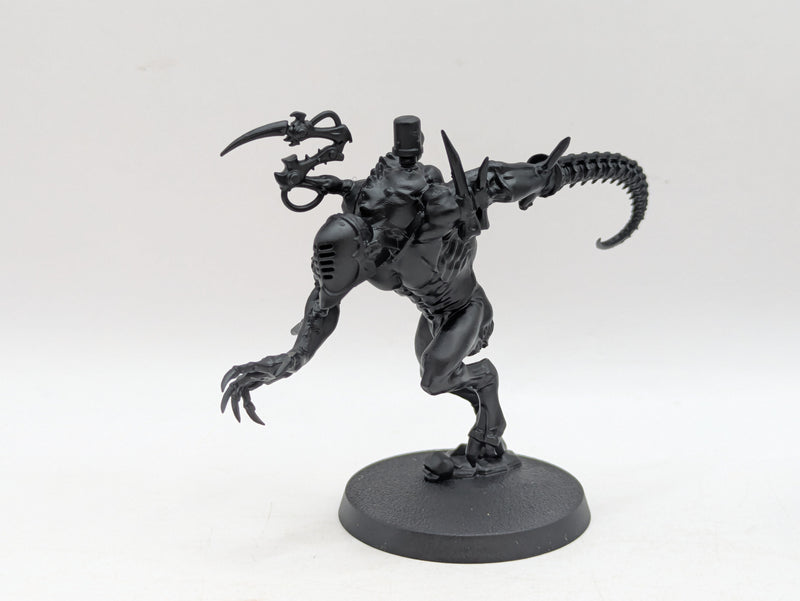 Warhammer 40k: Drukhari Converted Grotesques (BI020)