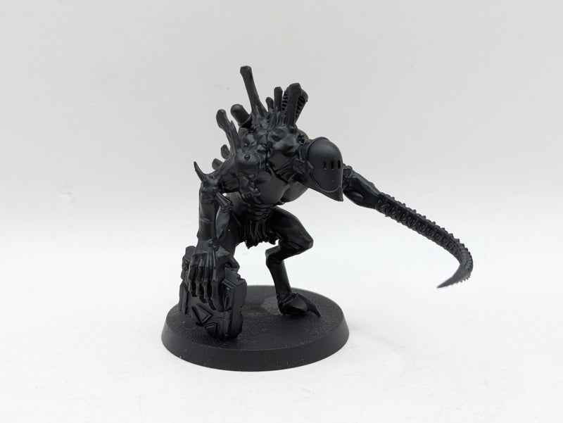 Warhammer 40k: Drukhari Converted Grotesques (BI020)