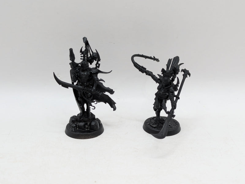 Warhammer 40k: Drukhari Archon and Succubus (BI027)