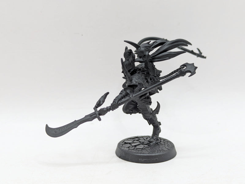 Warhammer 40k: Drukhari Archon and Succubus (BI027)