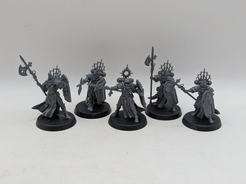 Warhammer 40k: Adepta Sororitas Celestian Sacresants (AI135)