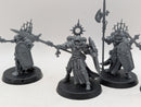 Warhammer 40k: Adepta Sororitas Celestian Sacresants (AI135)