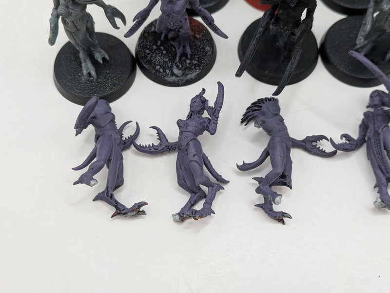 Warhammer 40k: Daemons of Chaos Slaanesh Daemonettes (AD032)