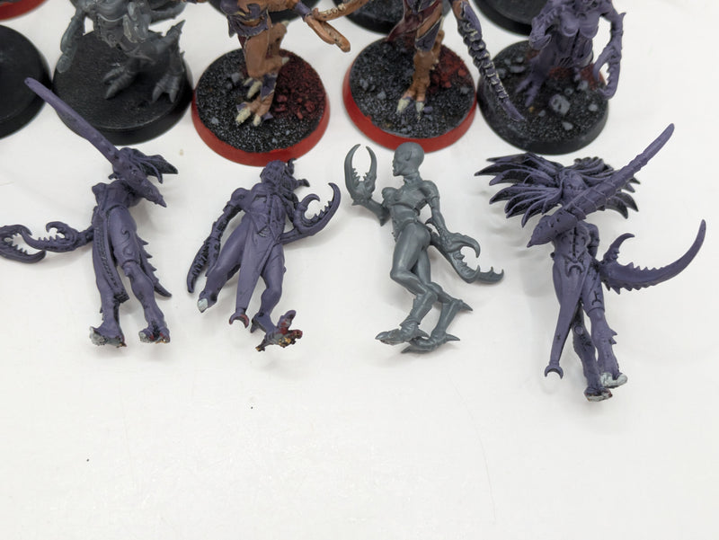 Warhammer 40k: Daemons of Chaos Slaanesh Daemonettes (AD032)