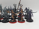 Warhammer 40k: Daemons of Chaos Slaanesh Daemonettes (AD032)