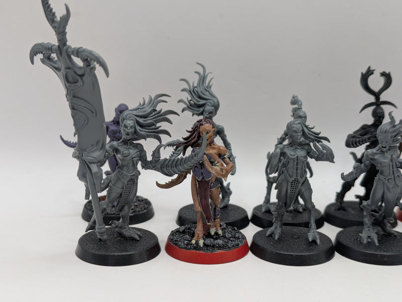 Warhammer 40k: Daemons of Chaos Slaanesh Daemonettes (AD032)