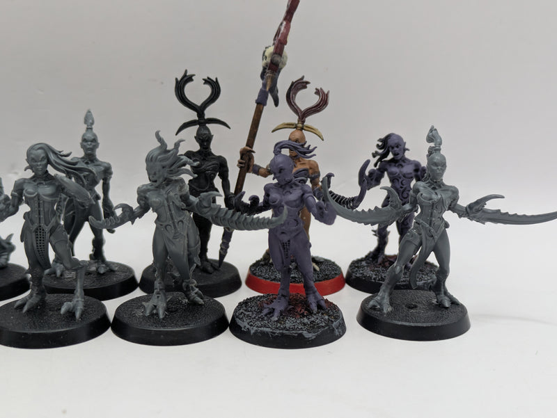 Warhammer 40k: Daemons of Chaos Slaanesh Daemonettes (AD032)