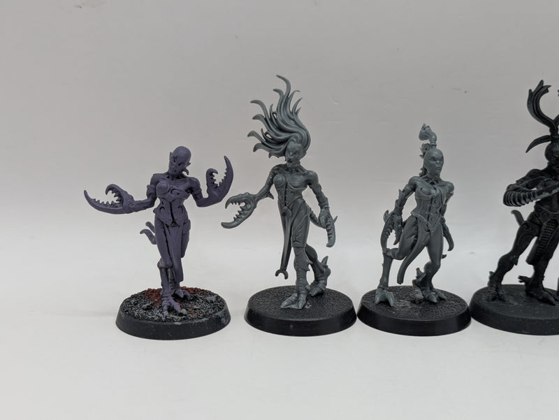 Warhammer 40k: Daemons of Chaos Slaanesh Daemonettes (AD032)