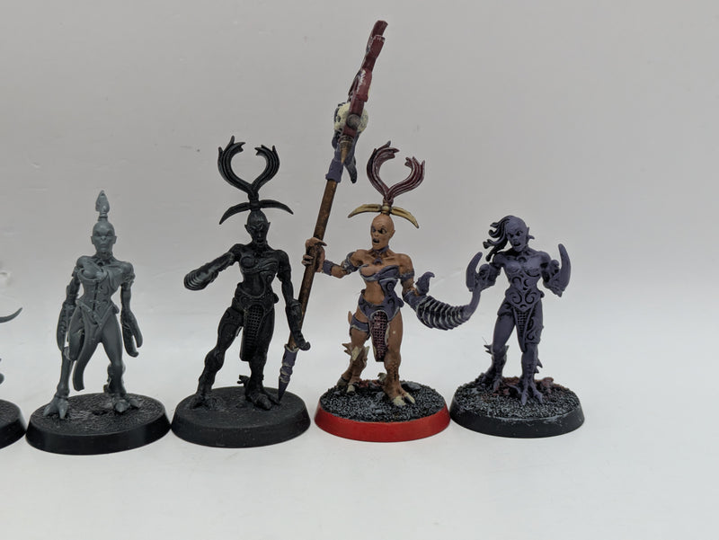 Warhammer 40k: Daemons of Chaos Slaanesh Daemonettes (AD032)