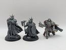 Warhammer Age of Sigmar: Stormcast Eternals Terminos, Reclusian, and Bastian Carthalos (AT215)