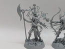 Warhammer Age of Sigmar: Underworlds Ylthari’s Guardians (BH070)