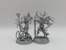 Warhammer Age of Sigmar: Underworlds Ylthari’s Guardians (BH070)