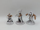 Warhammer Age of Sigmar: Underworlds Gorechosen of Dromm (AE096)