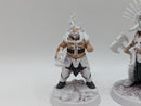 Warhammer Age of Sigmar: Underworlds Gorechosen of Dromm (AE096)