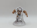 Warhammer Age of Sigmar: Underworlds Gorechosen of Dromm (AE096)