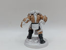 Warhammer Age of Sigmar: Underworlds Gorechosen of Dromm (AE096)