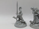 Warhammer Age of Sigmar: Underworlds Myari’s Purifiers (AC104)