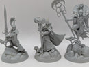 Warhammer Age of Sigmar: Underworlds Myari’s Purifiers (AC104)