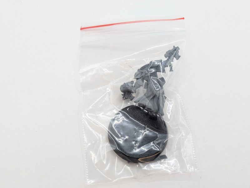 Warhammer 40k: Adpeta Sororitas Seraphim Squad (BI015)