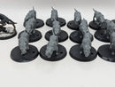 Warhammer Lord of the Rings: Wild Warg Chieftain and Wargs (AT080)