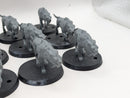 Warhammer Lord of the Rings: Wild Warg Chieftain and Wargs (AT080)