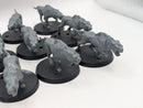 Warhammer Lord of the Rings: Wild Warg Chieftain and Wargs (AO010)