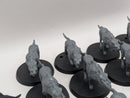 Warhammer Lord of the Rings: Wild Warg Chieftain and Wargs (AO010)