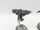 Warhammer 40k: Adeptus Custodes Venatari - Pro Painted (AC077)