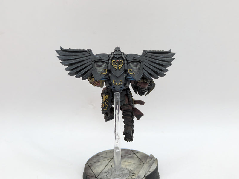 Warhammer 40k: Adeptus Custodes Venatari - Pro Painted (AC077)