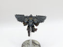 Warhammer 40k: Adeptus Custodes Venatari - Pro Painted (AC077)