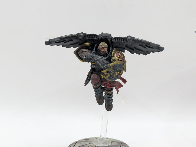 Warhammer 40k: Adeptus Custodes Venatari - Pro Painted (BA077)